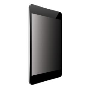 10.5in Security Filter 2-way Plug In For iPad Pro 2017