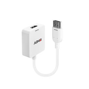 Converter Hdmi A DisplayPort Uh Lindy                                                               