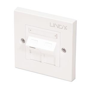 Cat5e Single Wall Plate With 1 X Angled Rj-45 Shuttered Socket, Unshielded
