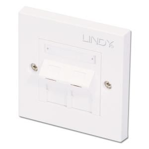 Cat5e Single Wall Plate With 2 X Angled Rj-45 Shuttered Socket, Unshielded