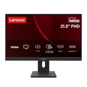 Desktop Monitor - ThinkVision E22-40 - 22in - 1920x1080 (Full HD) - IPS 100Hz 99% sRGB
